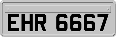 EHR6667