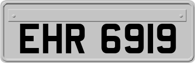 EHR6919