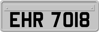 EHR7018