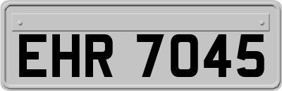 EHR7045