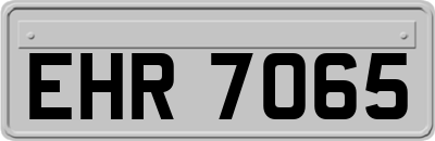 EHR7065