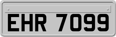 EHR7099