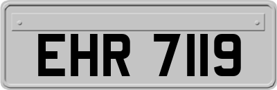 EHR7119