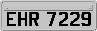 EHR7229