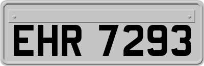 EHR7293