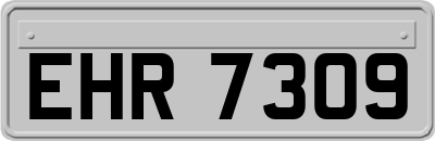 EHR7309