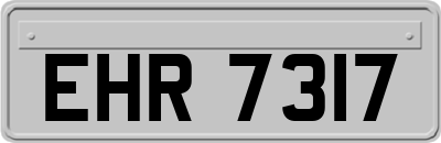 EHR7317