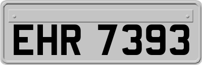 EHR7393