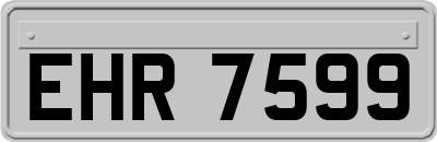 EHR7599