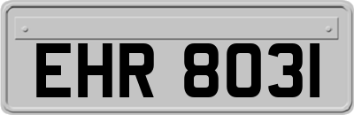 EHR8031
