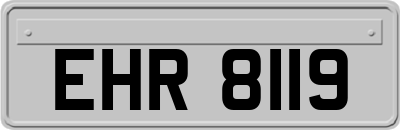EHR8119