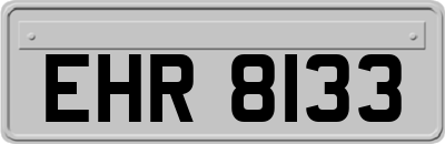 EHR8133