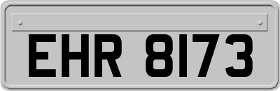 EHR8173