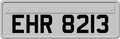 EHR8213