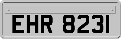 EHR8231