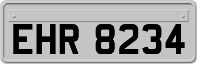 EHR8234