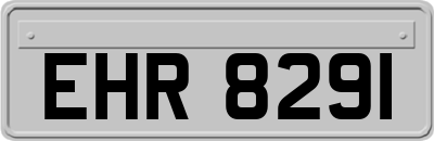 EHR8291