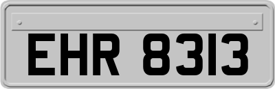 EHR8313