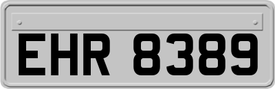 EHR8389