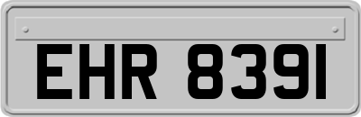 EHR8391