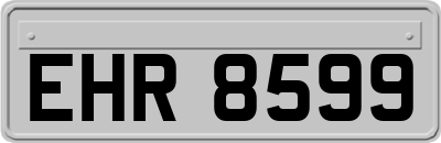 EHR8599
