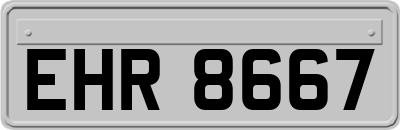 EHR8667
