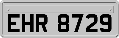 EHR8729