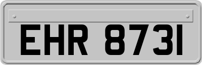 EHR8731