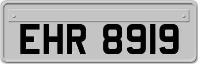EHR8919