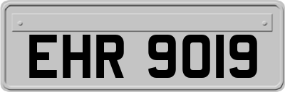 EHR9019
