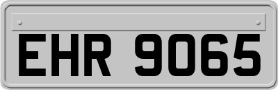 EHR9065