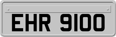 EHR9100