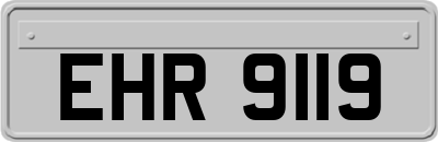 EHR9119