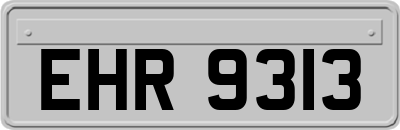 EHR9313