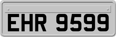 EHR9599