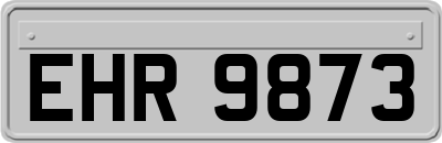 EHR9873