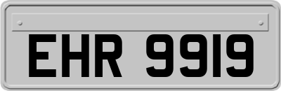 EHR9919