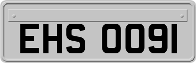 EHS0091