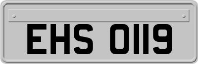 EHS0119