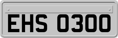 EHS0300