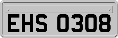 EHS0308