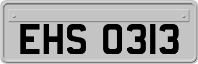 EHS0313