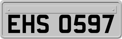 EHS0597