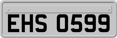 EHS0599