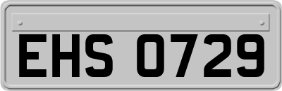 EHS0729