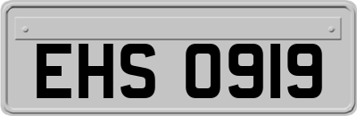 EHS0919