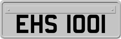 EHS1001