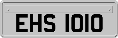EHS1010
