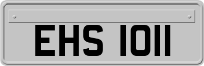 EHS1011