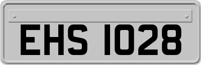 EHS1028
